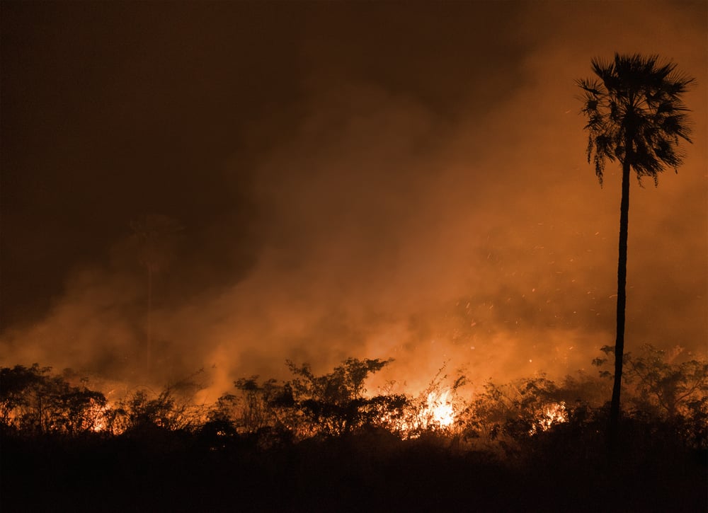 Fire sweeps through Otuquis National Park
