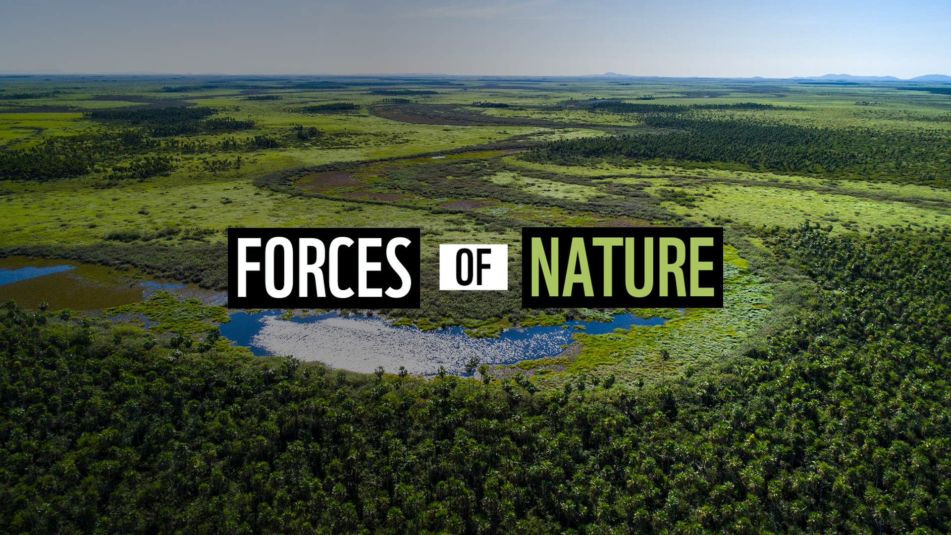 Forces-of-nature-Podcast-60th