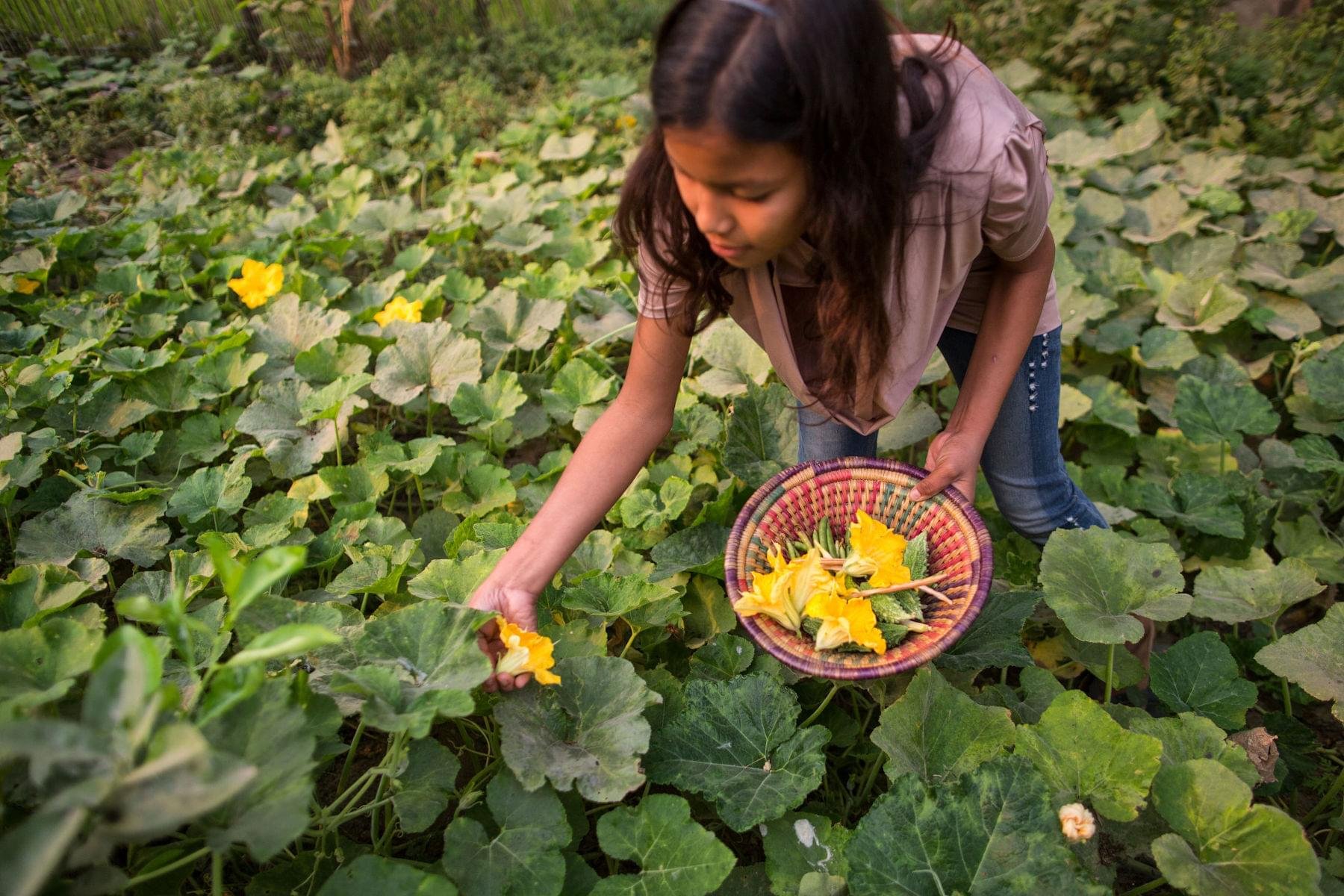 food-security