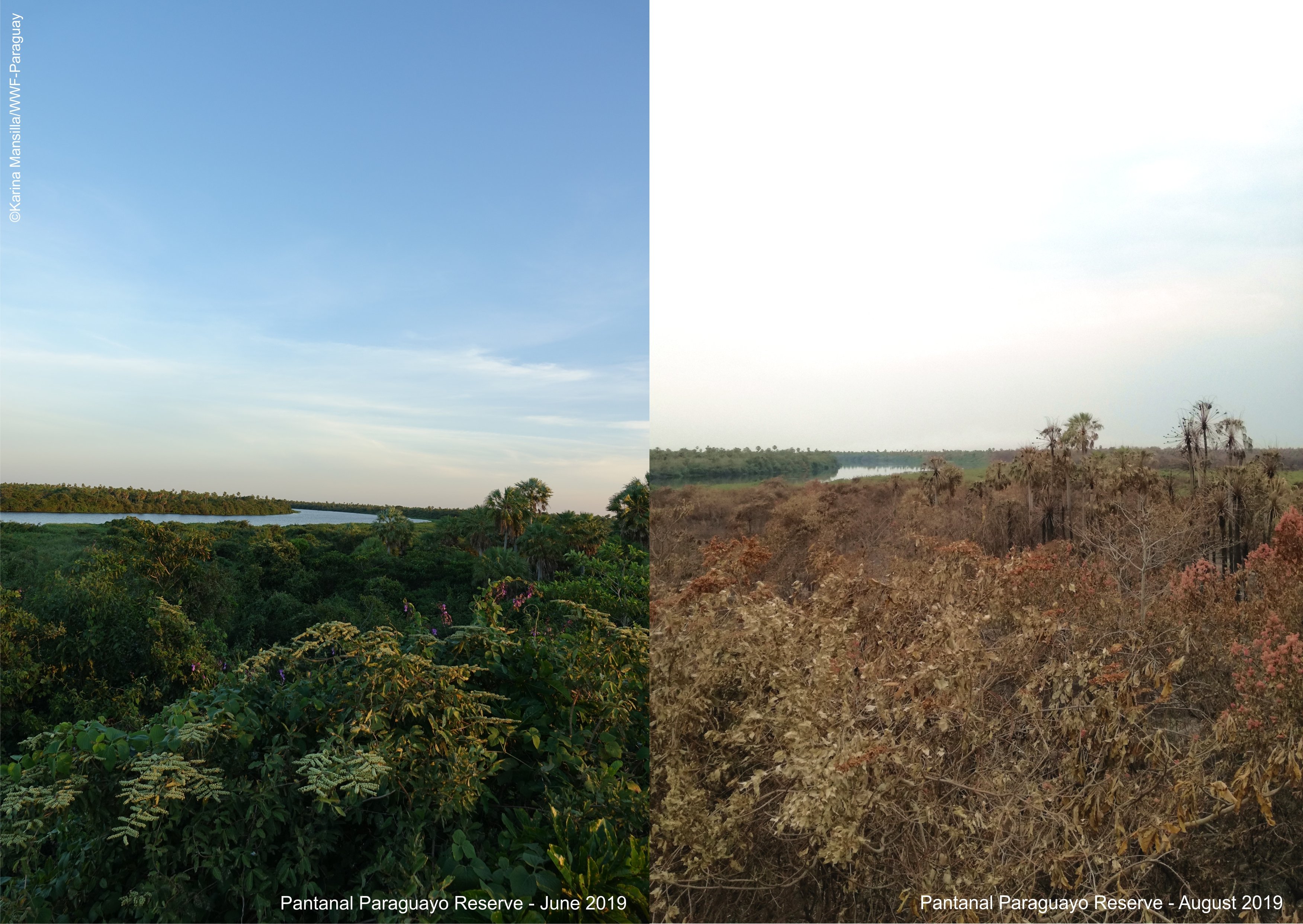 Pantanal Paraguayo Reserve - before after _ Copyright Karina Mansilla - WWF Paraguay