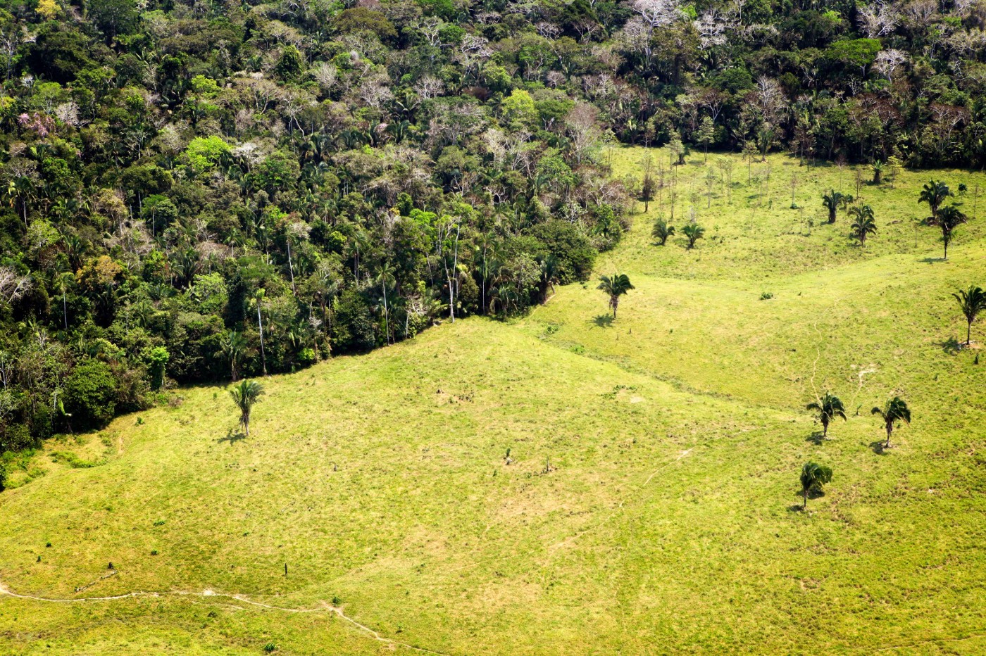 land degredation habitat loss