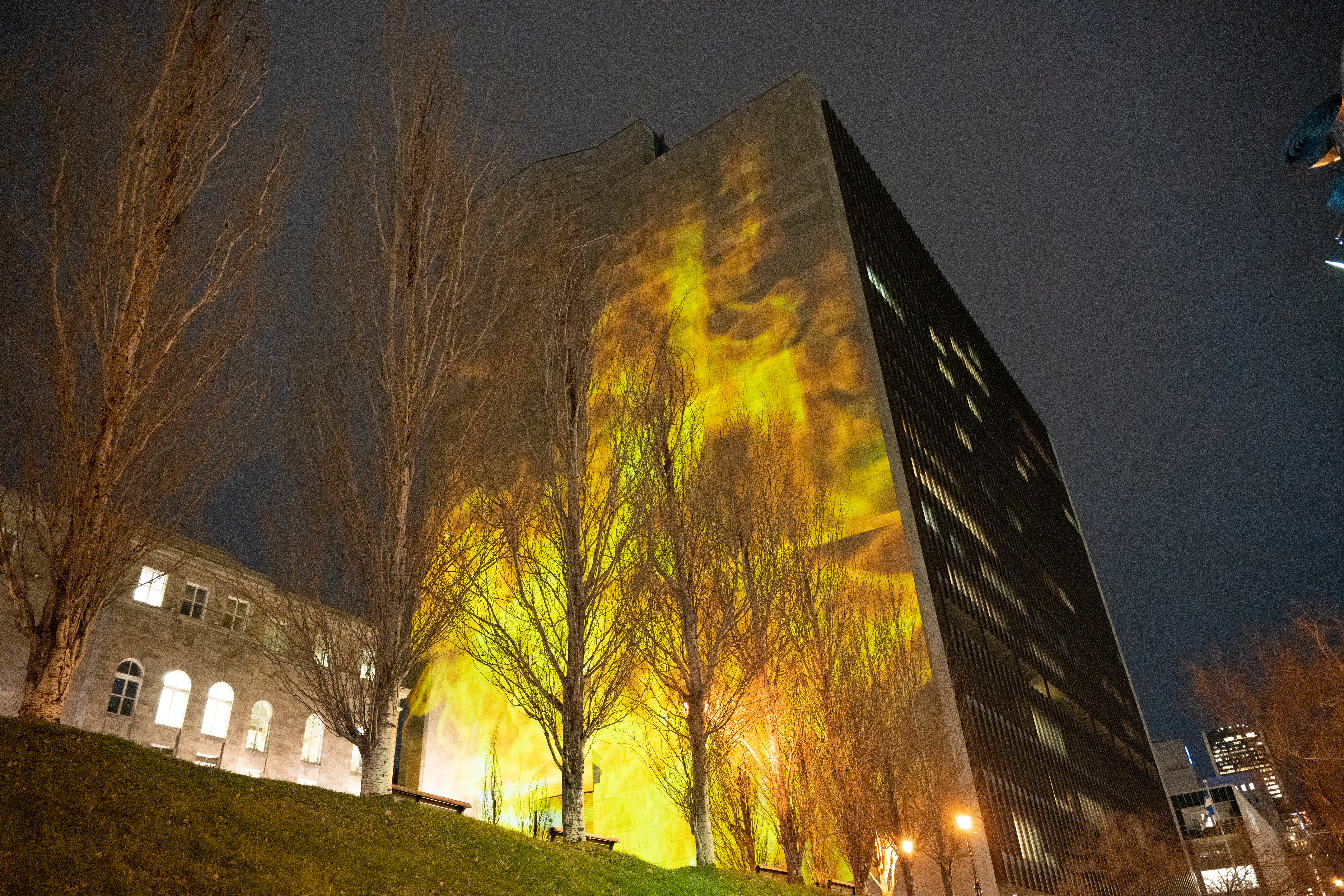 WWF message in lights to COP15 leaders: the world is watching - Vimarsana News