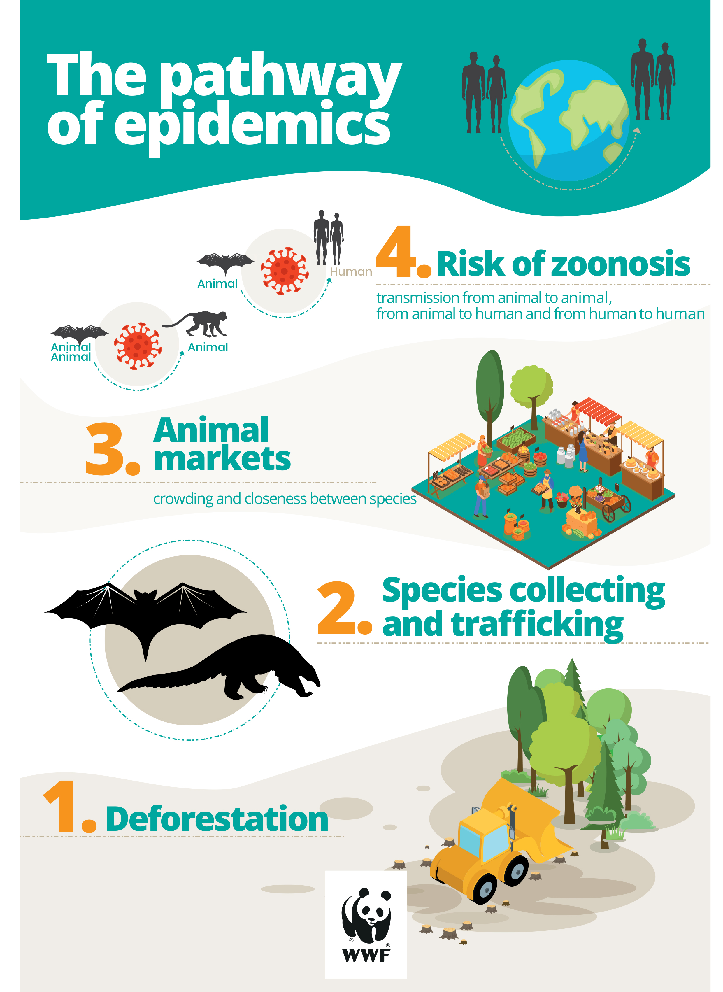WWF Biodiversity and  Pandemics-8